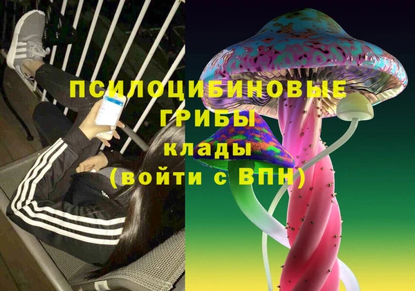 ECSTASY Медногорск