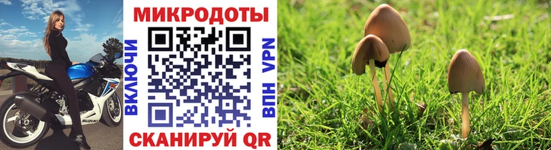 Галлюциногенные грибы мухоморы  Спас-Клепики 